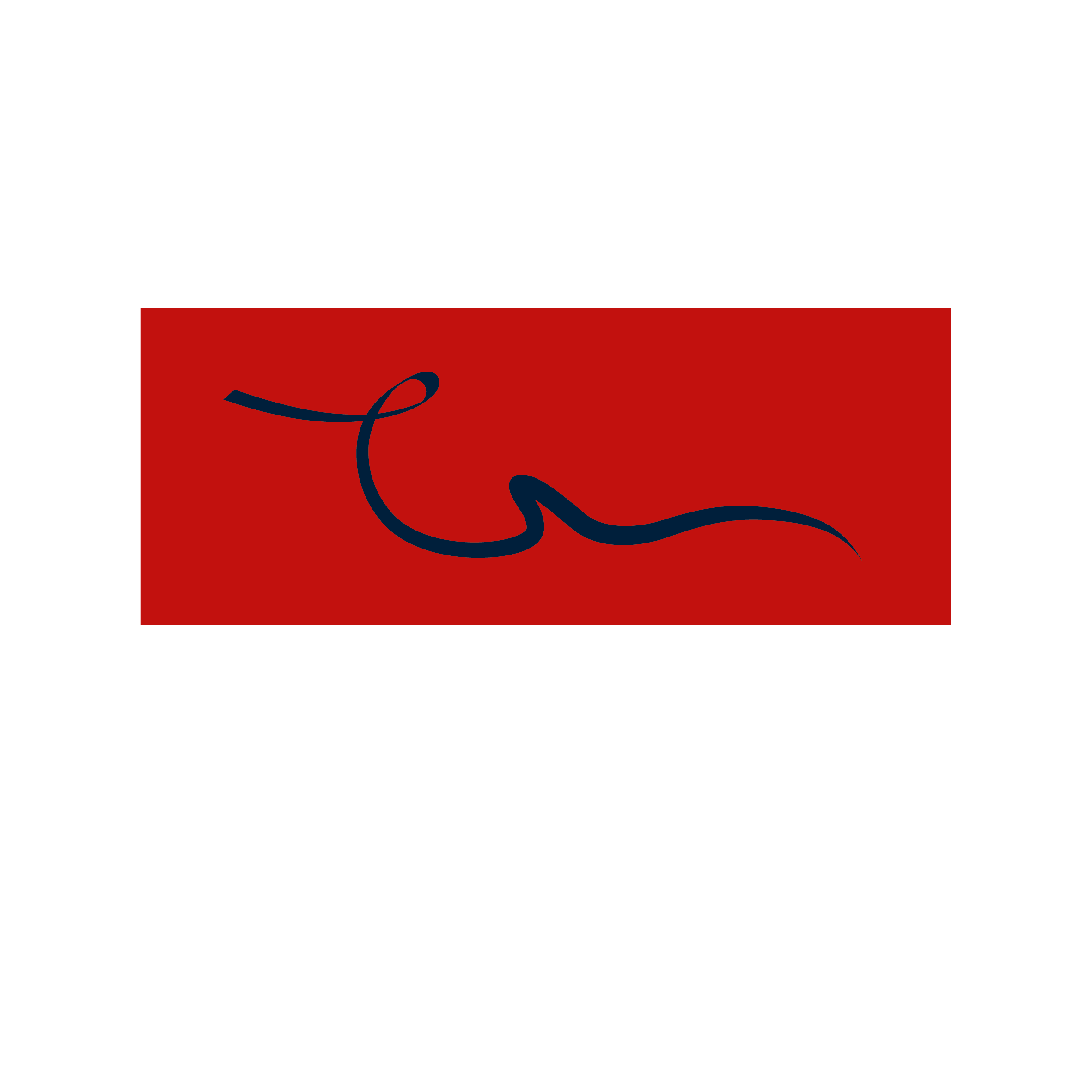 Dupini